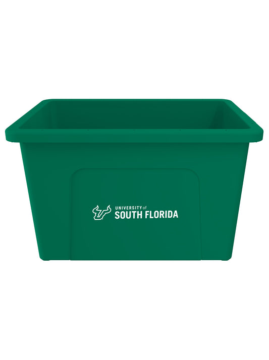 University of South Florida